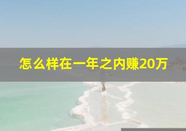 怎么样在一年之内赚20万