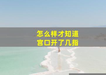 怎么样才知道宫口开了几指