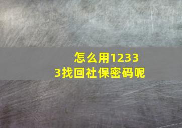 怎么用12333找回社保密码呢