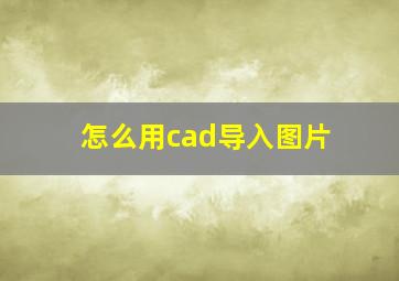 怎么用cad导入图片