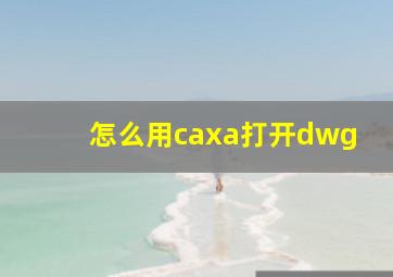 怎么用caxa打开dwg