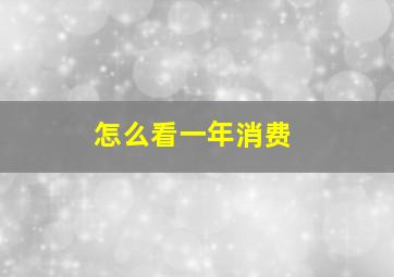 怎么看一年消费