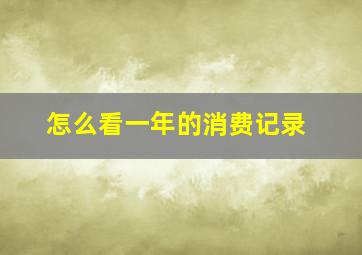 怎么看一年的消费记录