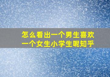 怎么看出一个男生喜欢一个女生小学生呢知乎