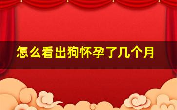 怎么看出狗怀孕了几个月