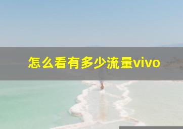 怎么看有多少流量vivo