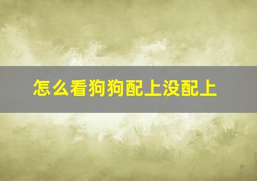 怎么看狗狗配上没配上