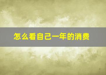 怎么看自己一年的消费