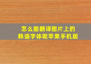 怎么能翻译图片上的韩语字体呢苹果手机版