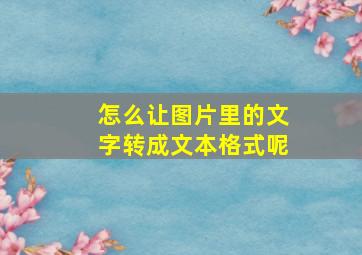 怎么让图片里的文字转成文本格式呢