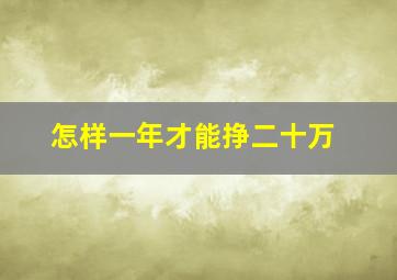 怎样一年才能挣二十万