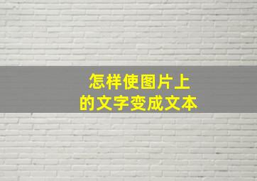 怎样使图片上的文字变成文本