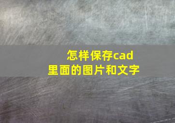 怎样保存cad里面的图片和文字