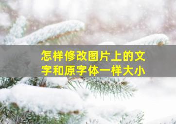 怎样修改图片上的文字和原字体一样大小