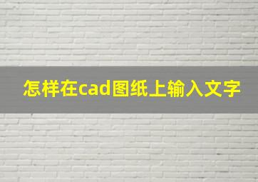 怎样在cad图纸上输入文字