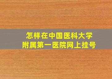 怎样在中国医科大学附属第一医院网上挂号