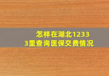 怎样在湖北12333里查询医保交费情况