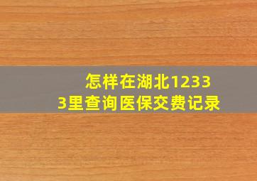 怎样在湖北12333里查询医保交费记录