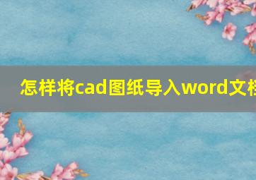 怎样将cad图纸导入word文档