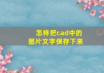 怎样把cad中的图片文字保存下来