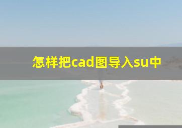 怎样把cad图导入su中