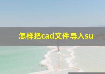 怎样把cad文件导入su