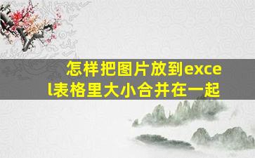 怎样把图片放到excel表格里大小合并在一起