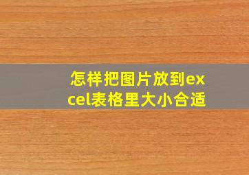 怎样把图片放到excel表格里大小合适