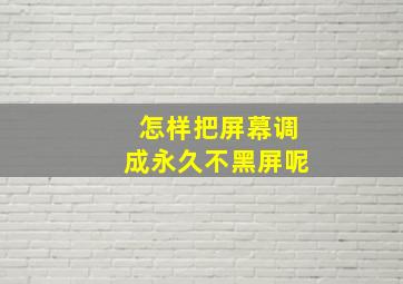 怎样把屏幕调成永久不黑屏呢