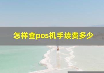 怎样查pos机手续费多少