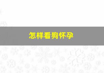 怎样看狗怀孕