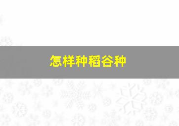 怎样种稻谷种