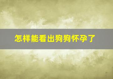 怎样能看出狗狗怀孕了