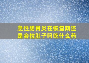 急性肠胃炎在恢复期还是会拉肚子吗吃什么药