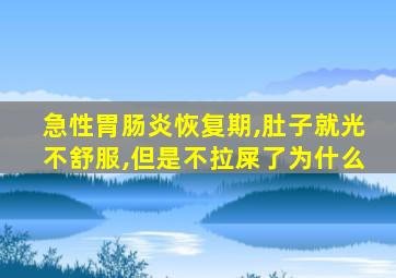 急性胃肠炎恢复期,肚子就光不舒服,但是不拉屎了为什么