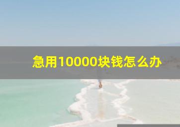 急用10000块钱怎么办