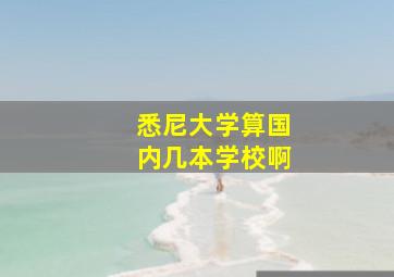 悉尼大学算国内几本学校啊