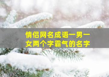 情侣网名成语一男一女两个字霸气的名字