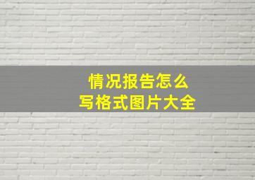 情况报告怎么写格式图片大全