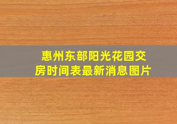 惠州东部阳光花园交房时间表最新消息图片