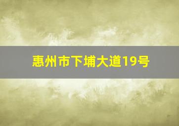 惠州市下埔大道19号