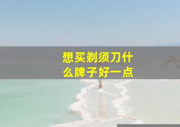 想买剃须刀什么牌子好一点