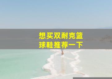 想买双耐克篮球鞋推荐一下