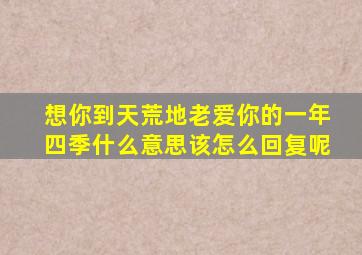 想你到天荒地老爱你的一年四季什么意思该怎么回复呢