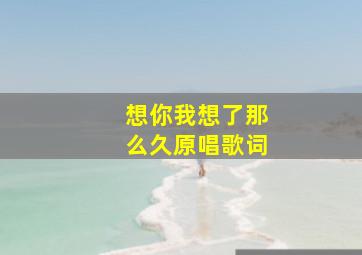 想你我想了那么久原唱歌词