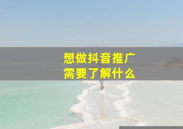 想做抖音推广需要了解什么