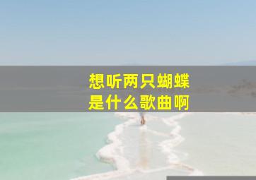 想听两只蝴蝶是什么歌曲啊