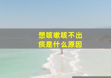 想咳嗽咳不出痰是什么原因