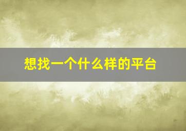 想找一个什么样的平台