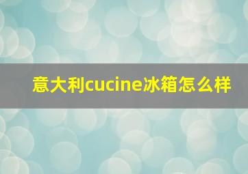 意大利cucine冰箱怎么样